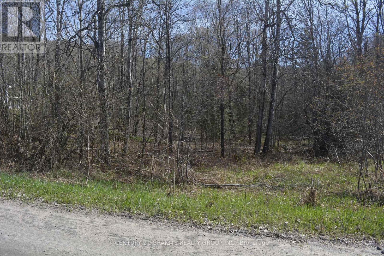 0 Sucie Road, Highlands East, Ontario  K0L 2A0 - Photo 3 - X12881098