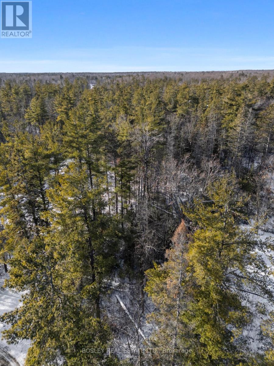 00 Pineview Court, Marmora And Lake, Ontario  K0K 2M0 - Photo 1 - X13133912