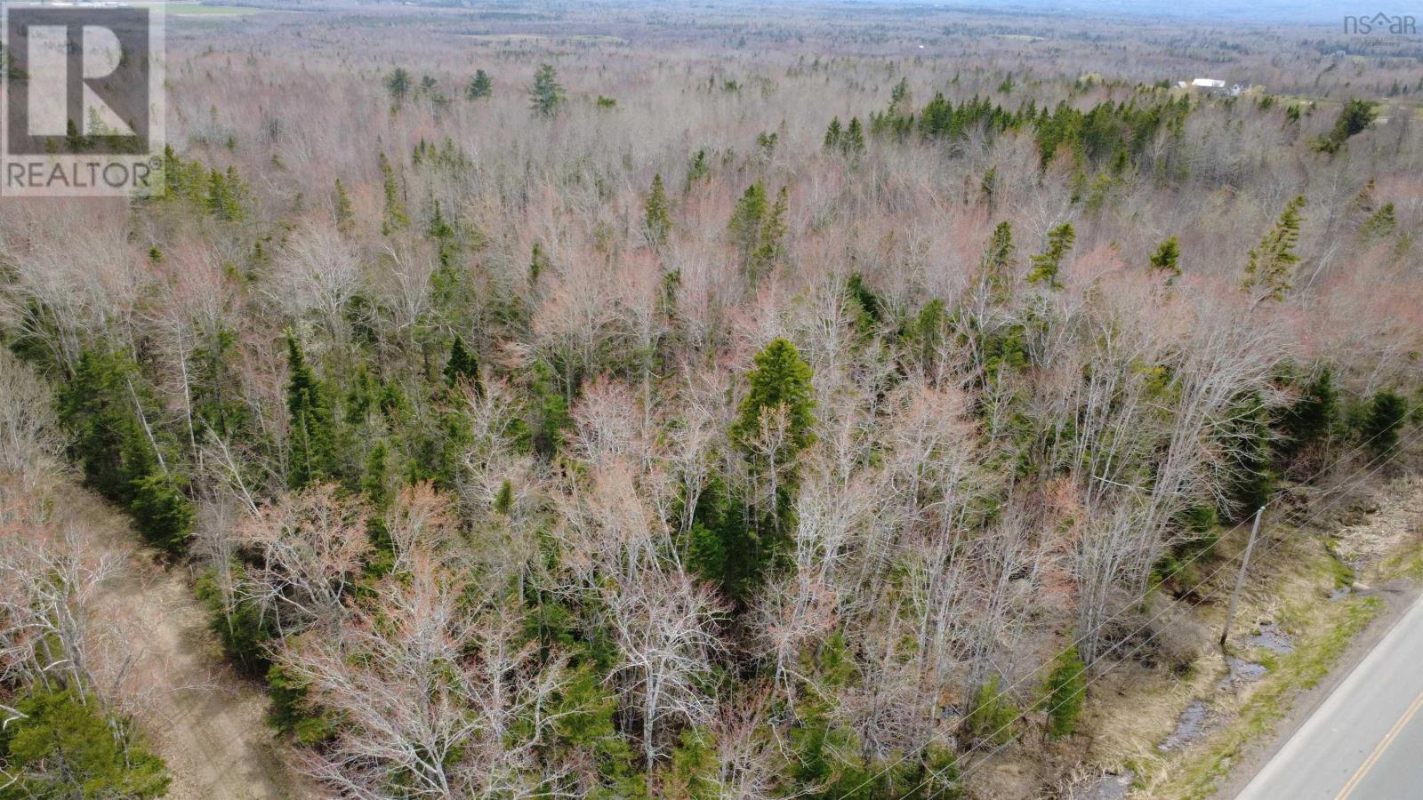 ~2 Arce Lot Black River Road, Meadowville, Nova Scotia  B0K 1R0 - Photo 5 - 202610009