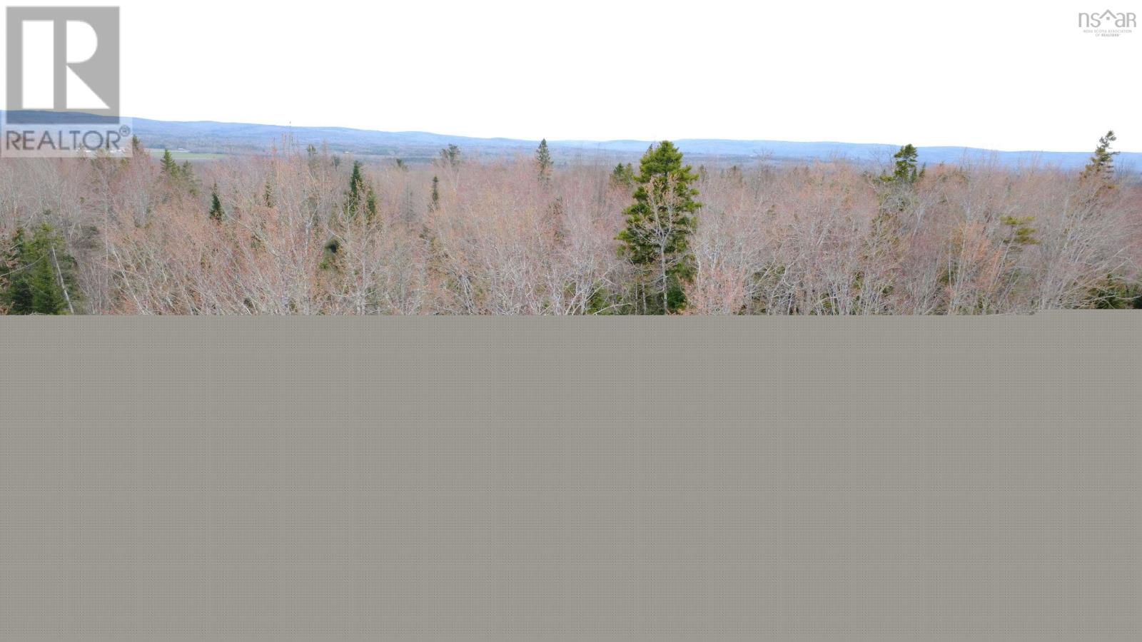 ~2 Arce Lot Black River Road, Meadowville, Nova Scotia  B0K 1R0 - Photo 1 - 202610009