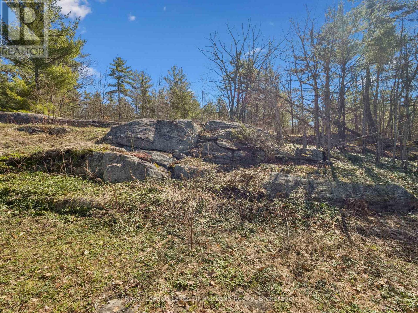 1314 Winhara Road, Gravenhurst, Ontario  P1P 1R1 - Photo 3 - X13035620