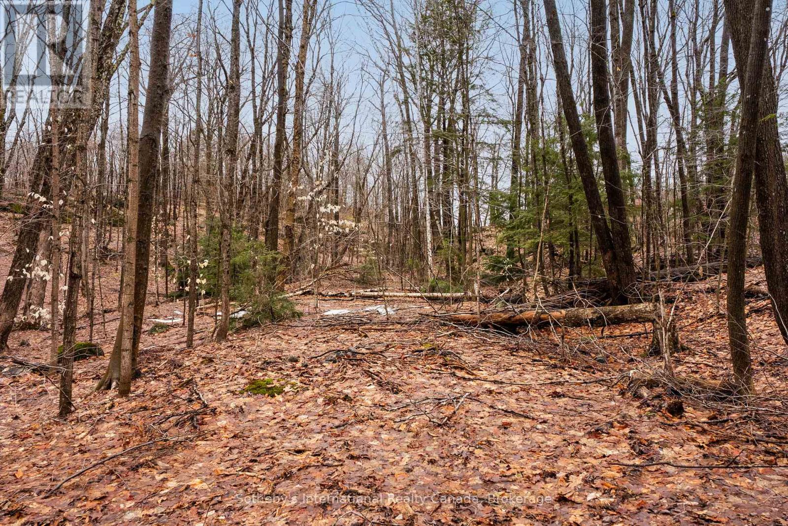 0 Trafalgar Bay Road, Muskoka Lakes, Ontario  P0C 1A0 - Photo 2 - X13015900