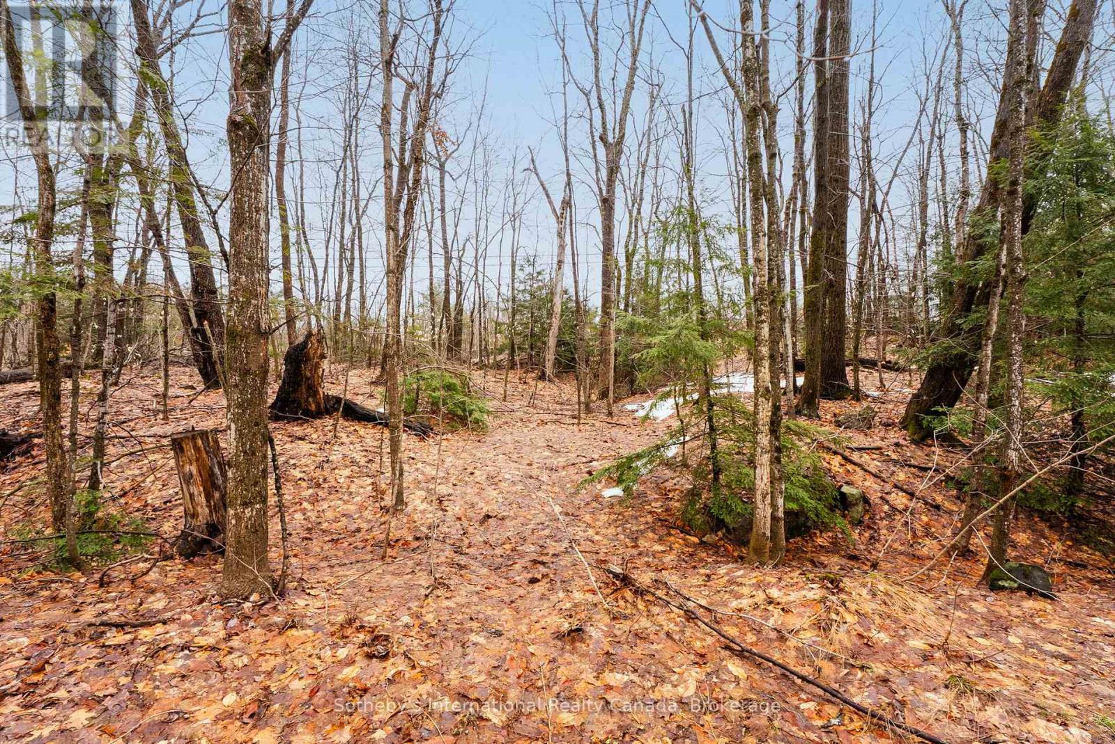 0 Trafalgar Bay Road, Muskoka Lakes, Ontario  P0C 1A0 - Photo 4 - X13015900