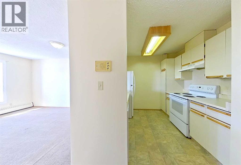 209e, 201 12 Avenue SW, Slave Lake, Alberta T0G 2A4 - Photo 8 - A2300098