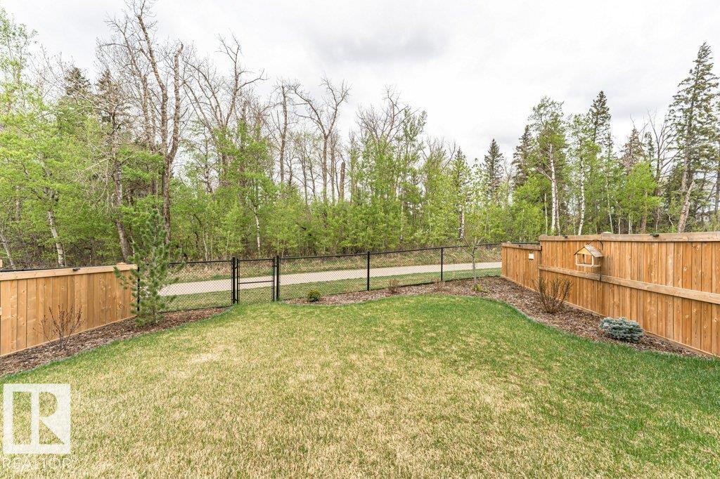 1390 Enright Landing Ld Nw, Edmonton, Alberta  T6M 0Z1 - Photo 35 - E4487985