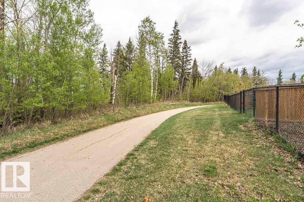 1390 Enright Landing Ld Nw, Edmonton, Alberta  T6M 0Z1 - Photo 37 - E4487985