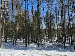 9 - PART 8 OF PART OF LOT 18 CONCESSION, Lake of Bays, Ontario