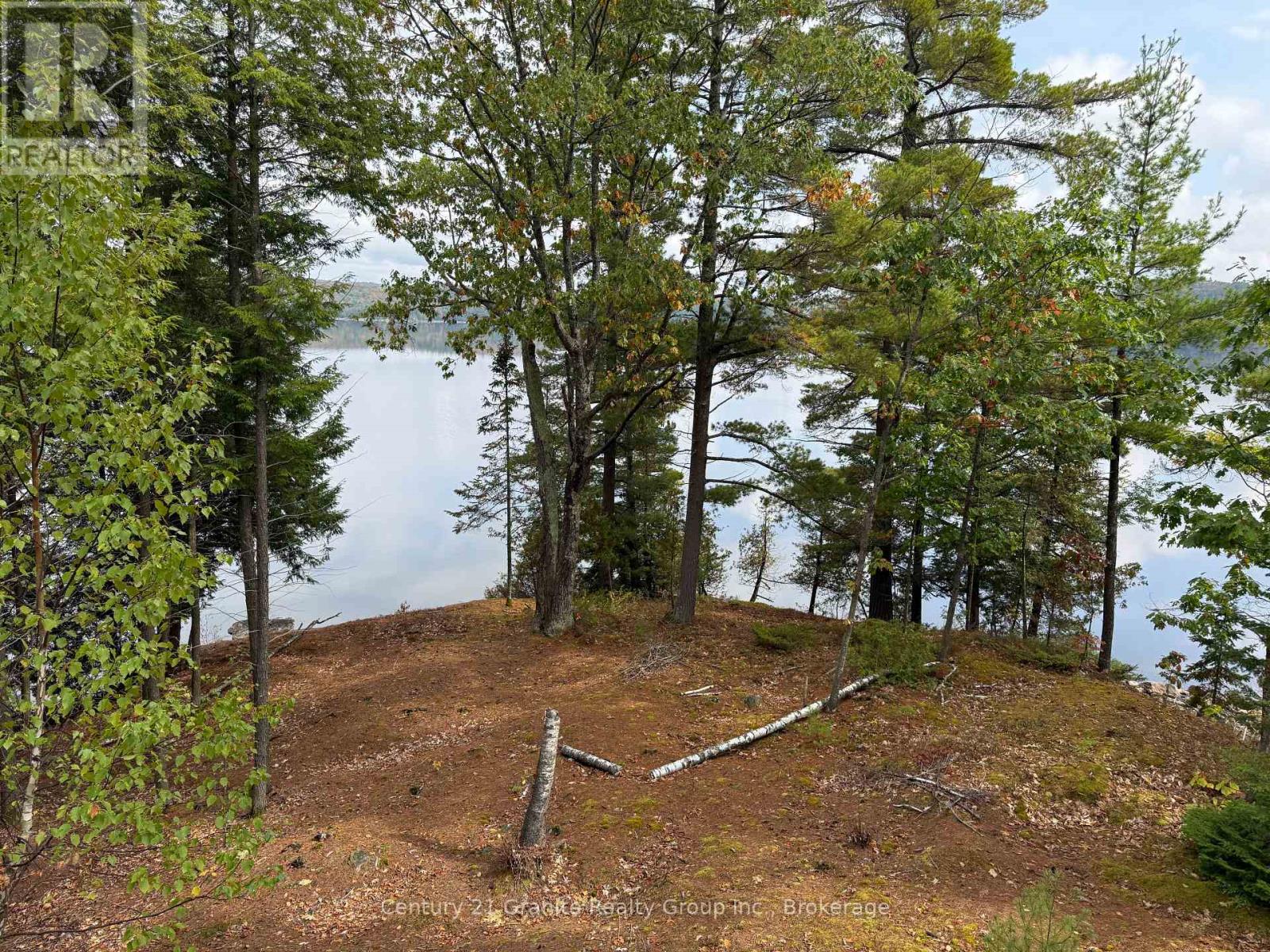 1773 Blue Heron Road, Dysart Et Al, Ontario  K0M 1S0 - Photo 25 - X13134232