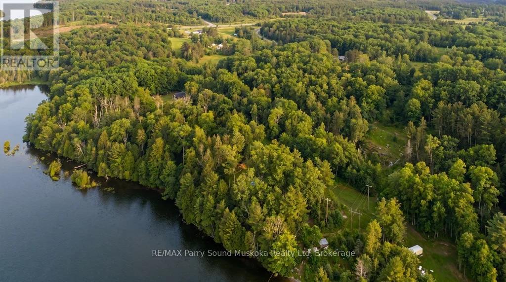 110d Louisa Street, Parry Sound, Ontario  P2A 2V3 - Photo 36 - X12837130