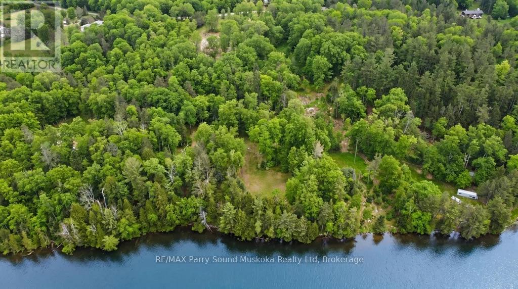 110d Louisa Street, Parry Sound, Ontario  P2A 2V3 - Photo 29 - X12837130