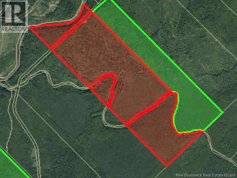 Lot Rte 520 Coates Mills, Coates Mills, New Brunswick  E4S 1R7 - Photo 3 - NB139538