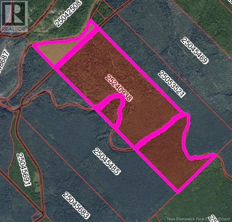 Lot Rte 520 Coates Mills, Coates Mills, New Brunswick  E4S 1R7 - Photo 8 - NB139538