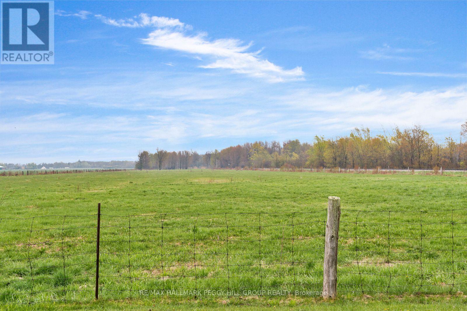 8785 10th Line, Essa, Ontario  L4M 4S4 - Photo 15 - N13134220