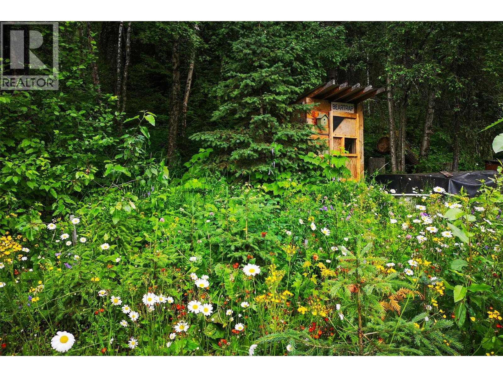6179 Kubinec Road, Fernie, British Columbia  V0B 1M1 - Photo 28 - 10387287