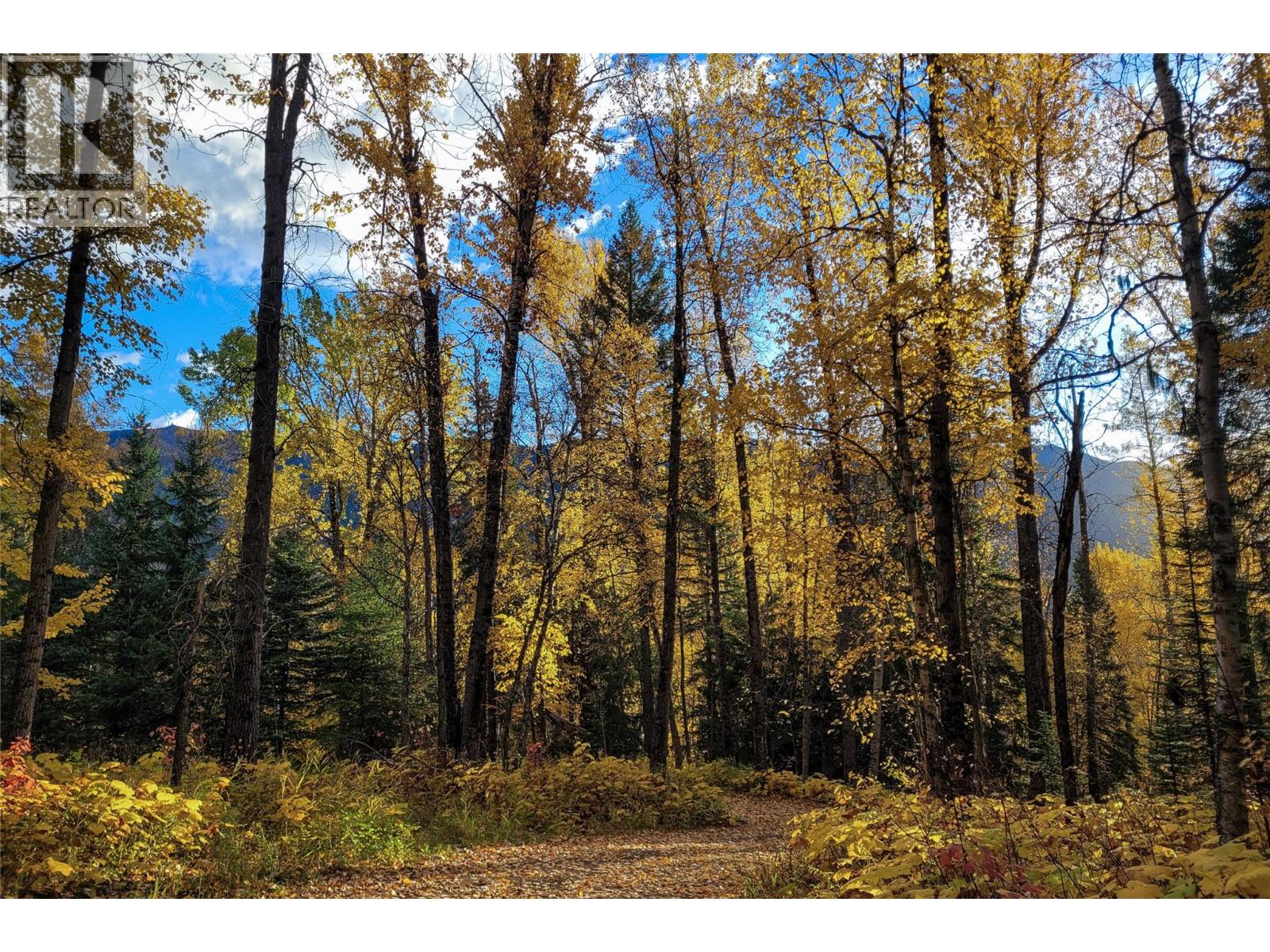 6179 Kubinec Road, Fernie, British Columbia  V0B 1M1 - Photo 33 - 10387287