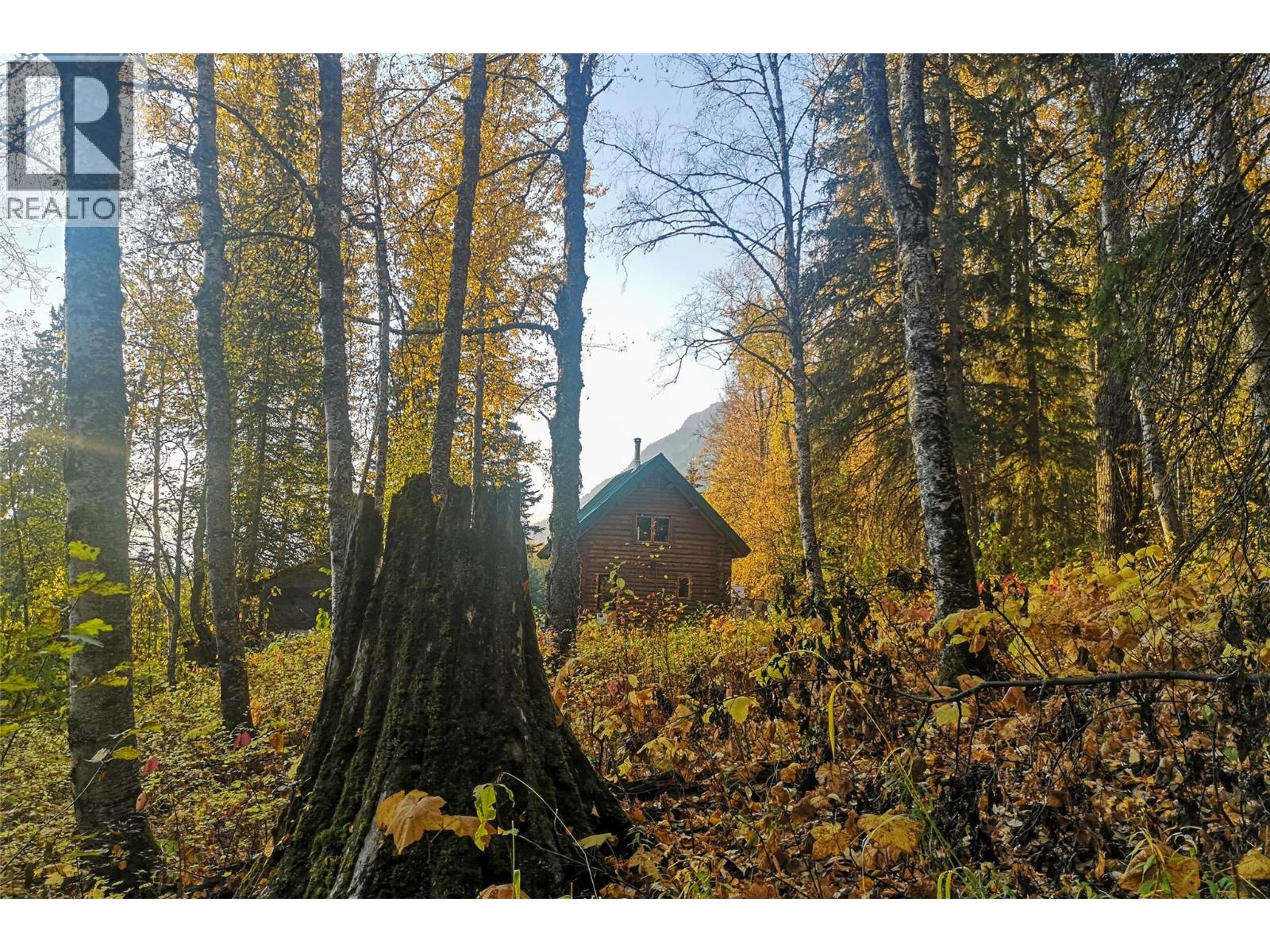 6179 Kubinec Road, Fernie, British Columbia  V0B 1M1 - Photo 27 - 10387287