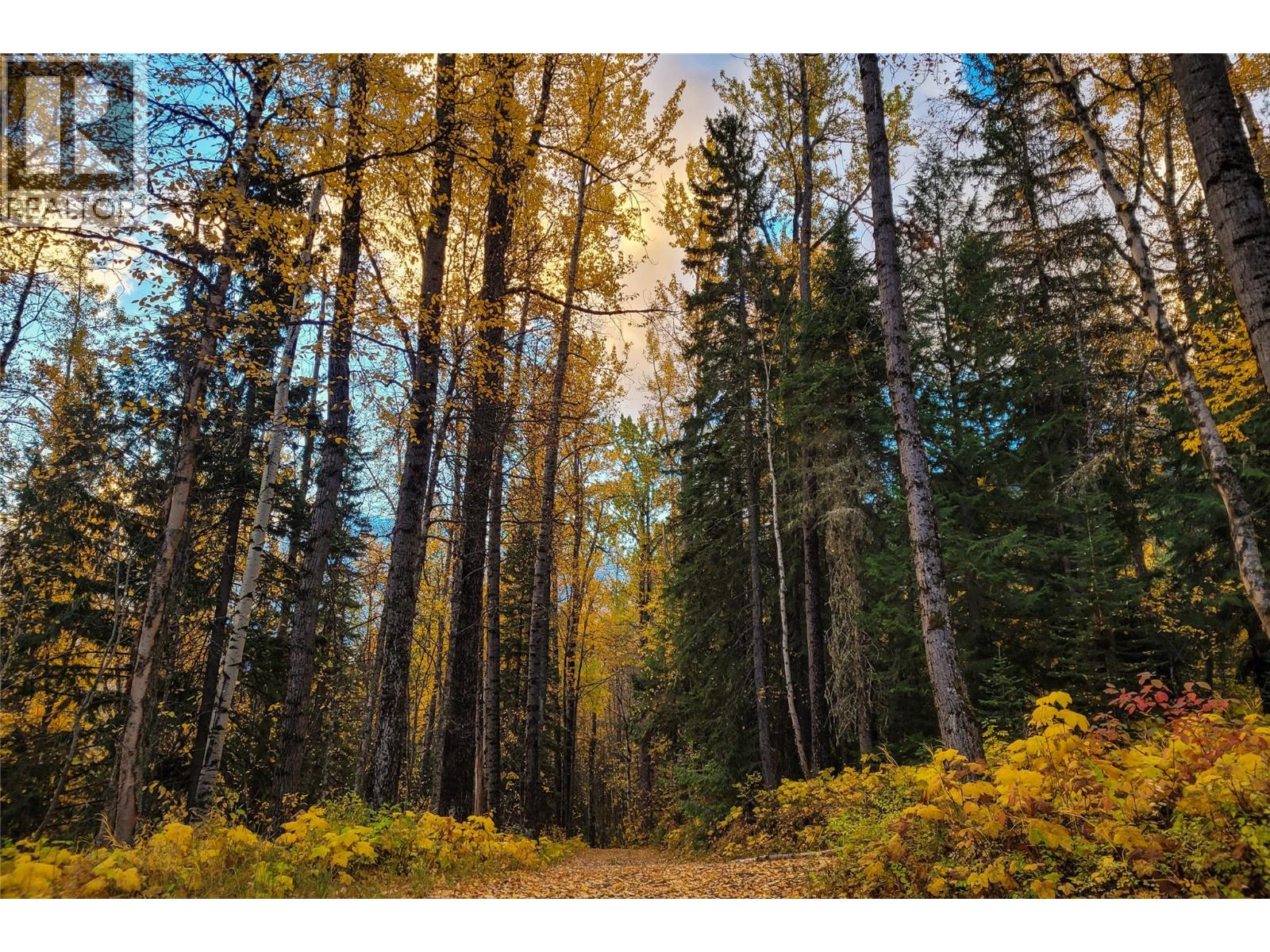 6179 Kubinec Road, Fernie, British Columbia  V0B 1M1 - Photo 32 - 10387287