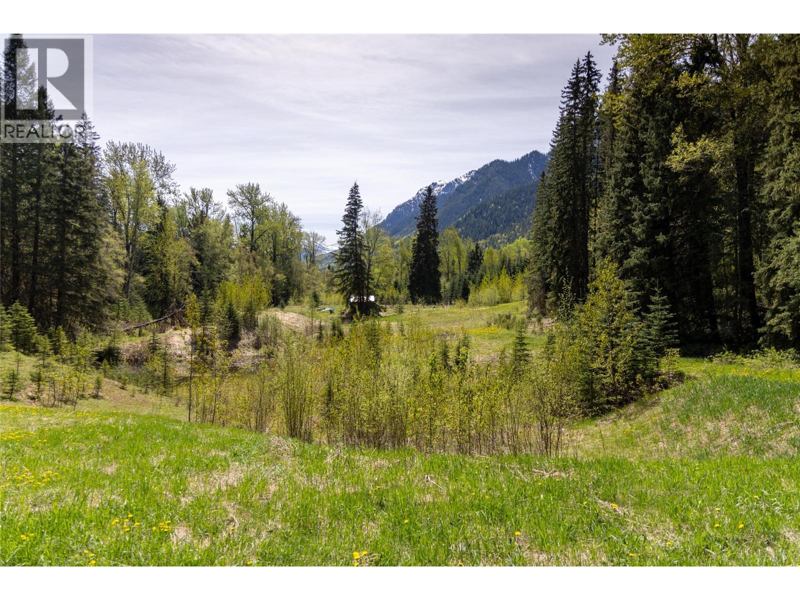 6179 Kubinec Road, Fernie, British Columbia  V0B 1M1 - Photo 74 - 10387287
