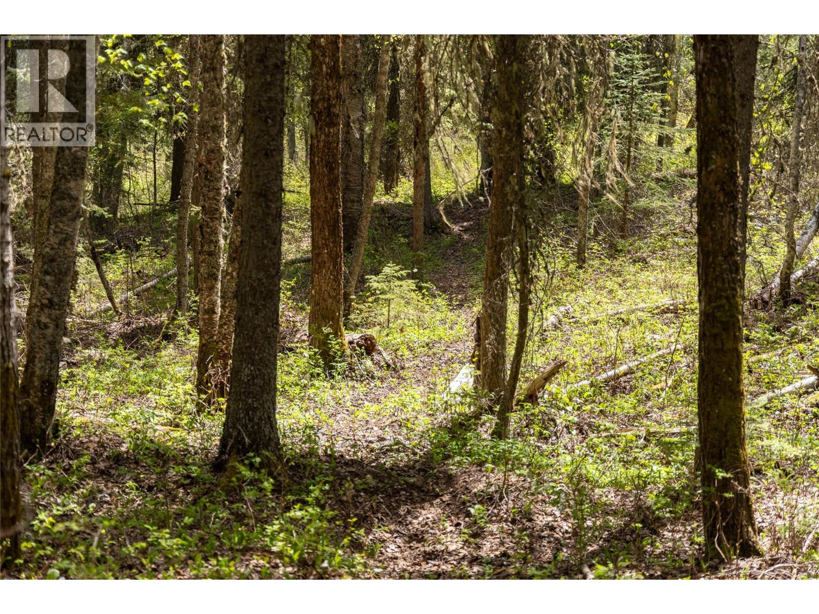 6179 Kubinec Road, Fernie, British Columbia  V0B 1M1 - Photo 64 - 10387287