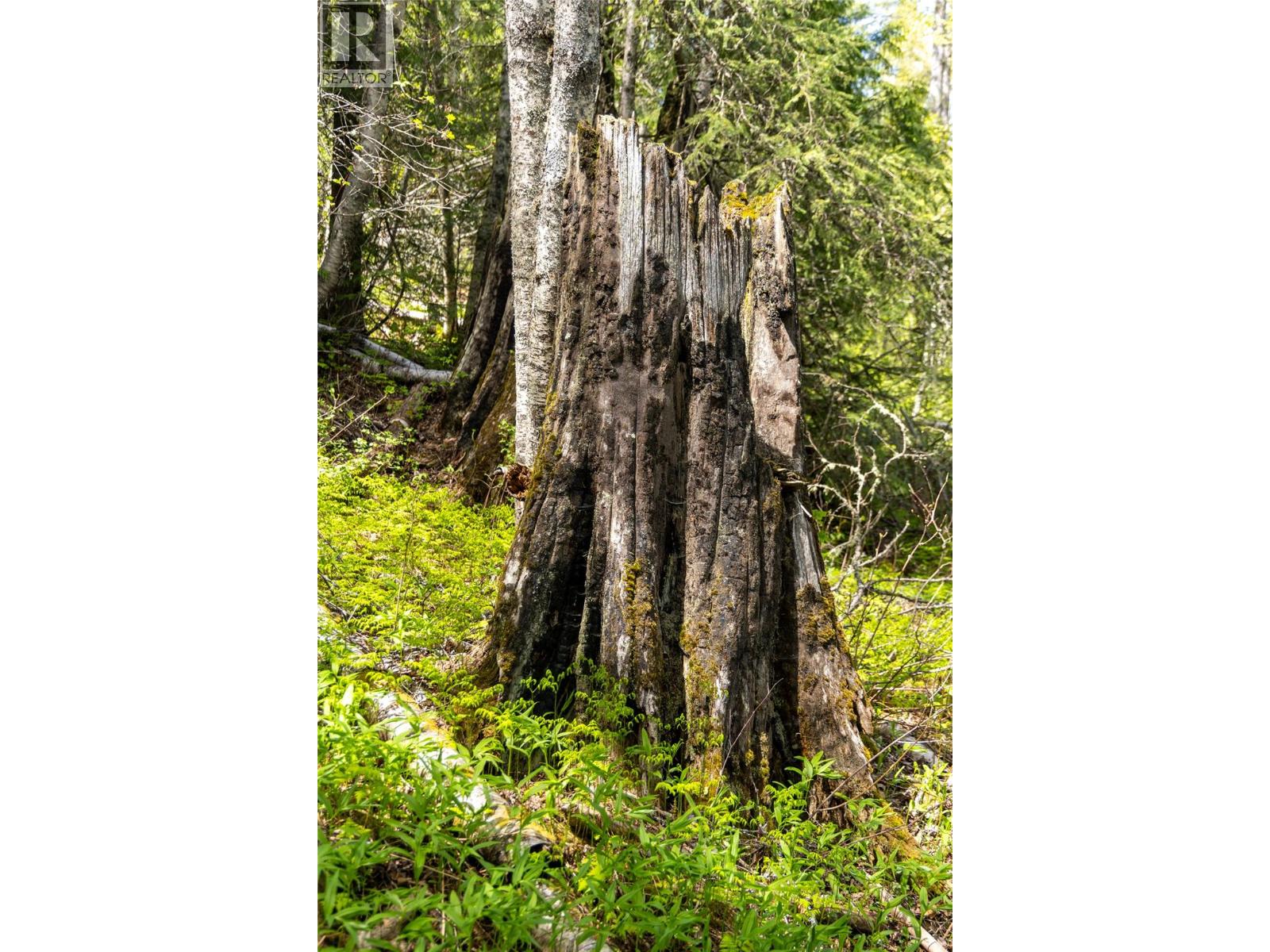6179 Kubinec Road, Fernie, British Columbia  V0B 1M1 - Photo 80 - 10387287