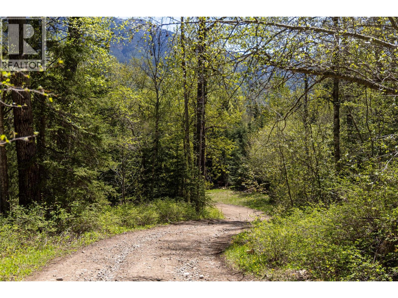 6179 Kubinec Road, Fernie, British Columbia  V0B 1M1 - Photo 31 - 10387287