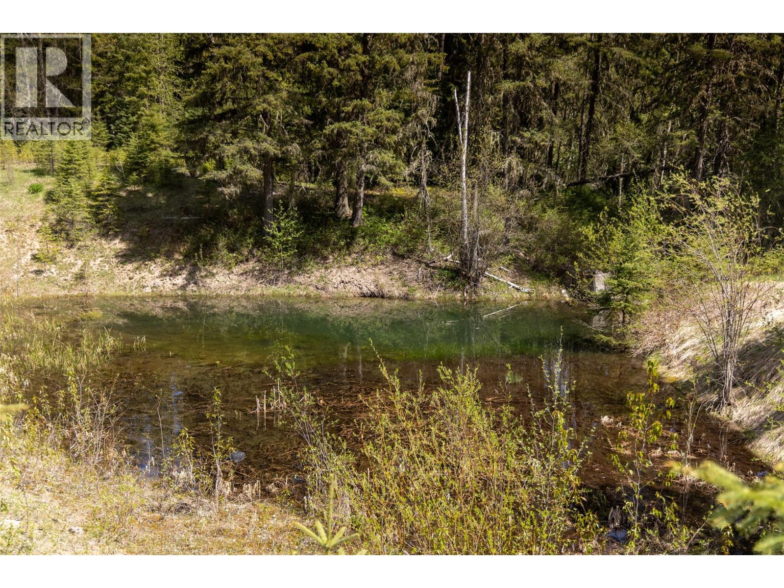 6179 Kubinec Road, Fernie, British Columbia  V0B 1M1 - Photo 71 - 10387287