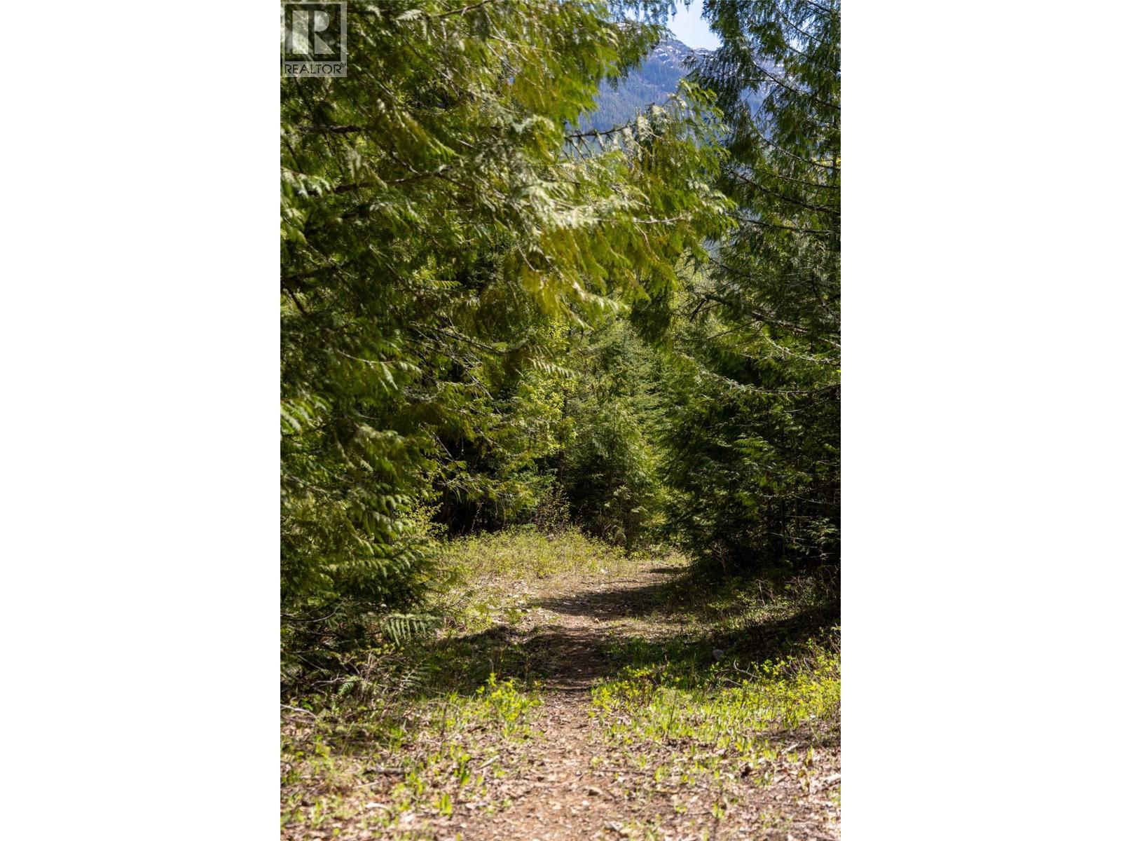 6179 Kubinec Road, Fernie, British Columbia  V0B 1M1 - Photo 35 - 10387287