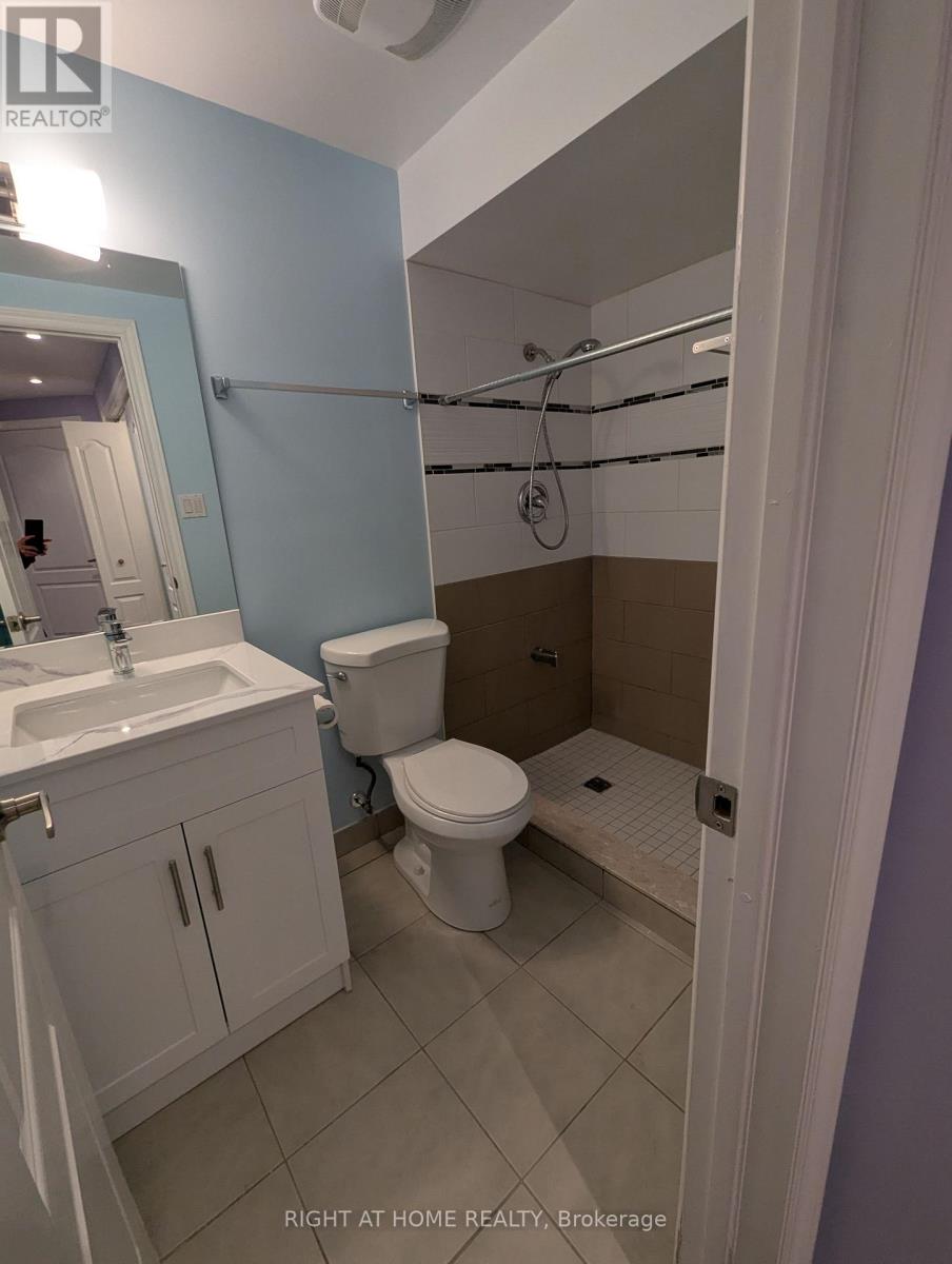 193 Shirley Drive, Richmond Hill, Ontario  L4S 1T3 - Photo 20 - N13132412