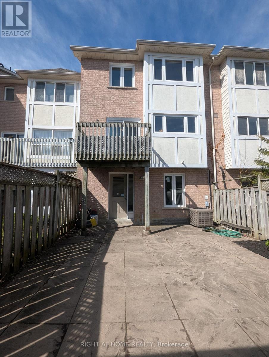 193 Shirley Drive, Richmond Hill, Ontario  L4S 1T3 - Photo 24 - N13132412