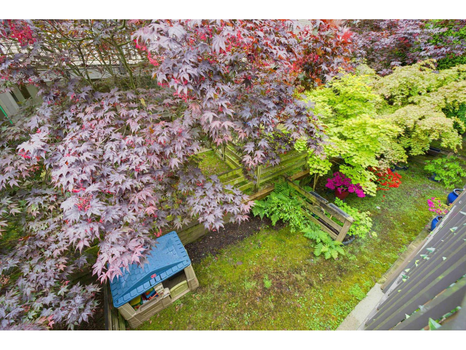 62 8250 209b Street, Langley, British Columbia  V2Y 0J7 - Photo 19 - R3124136