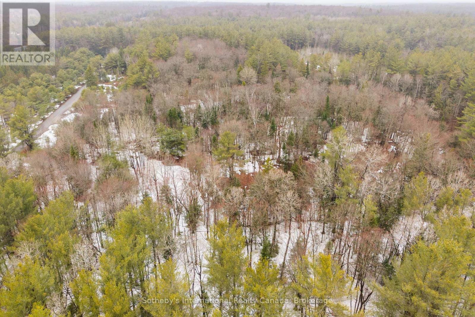 1000 Alpine Ranch Road, Bracebridge, Ontario  P1L 1W9 - Photo 22 - X13015802