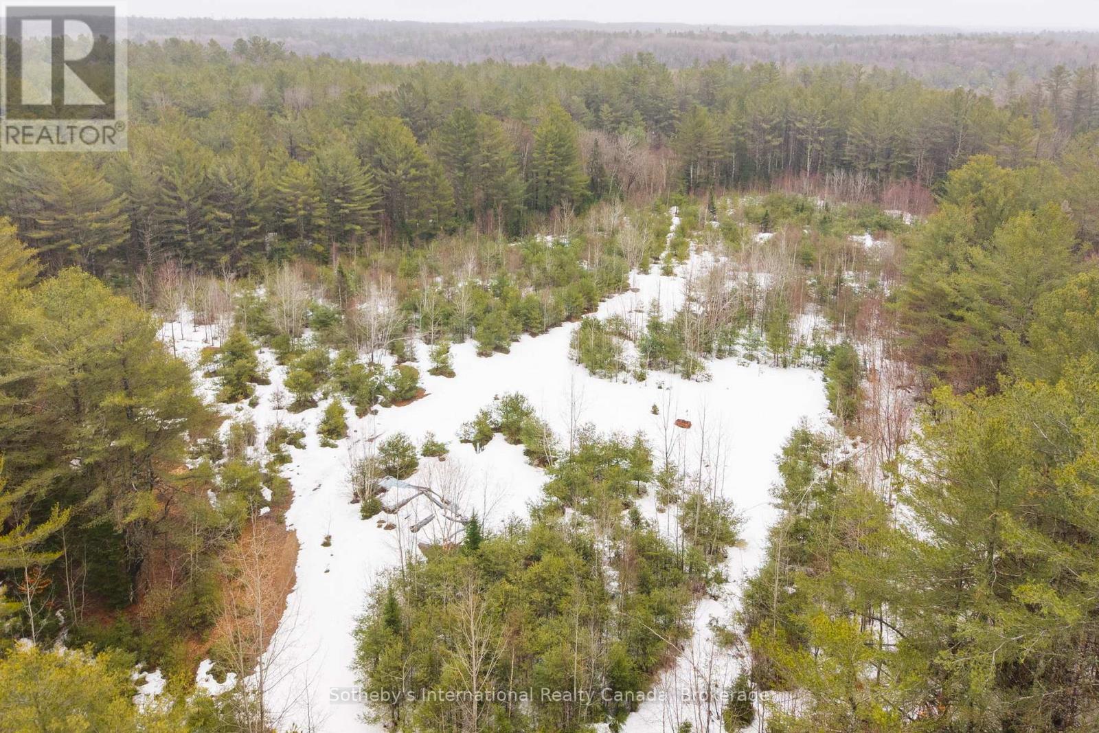 1000 Alpine Ranch Road, Bracebridge, Ontario  P1L 1W9 - Photo 24 - X13015802