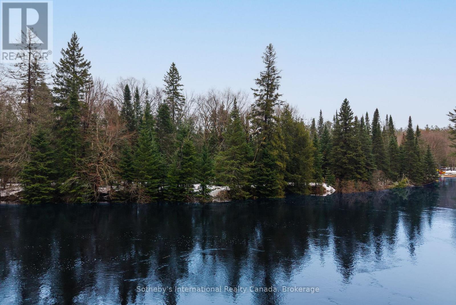 1000 Alpine Ranch Road, Bracebridge, Ontario  P1L 1W9 - Photo 8 - X13015802