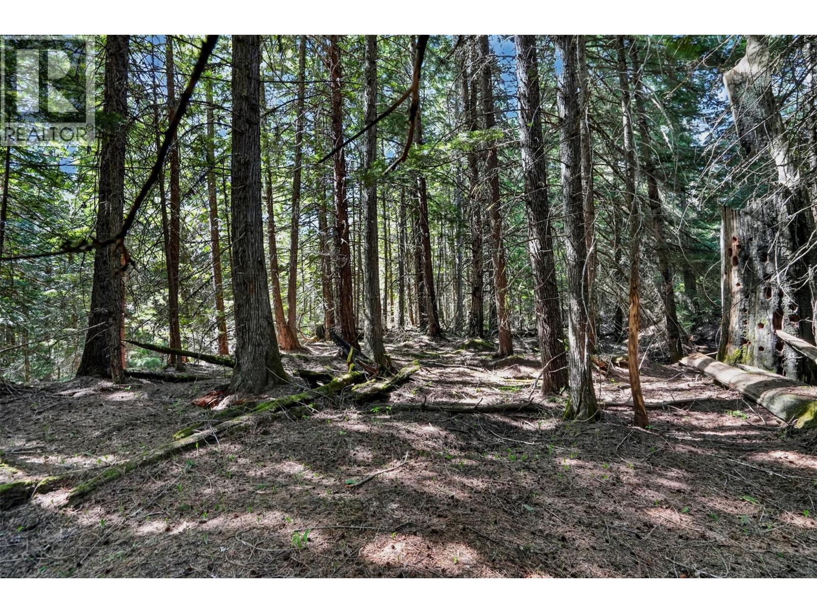Pcl A Highway 31, Howser, British Columbia  V0G 1N0 - Photo 14 - 10387145