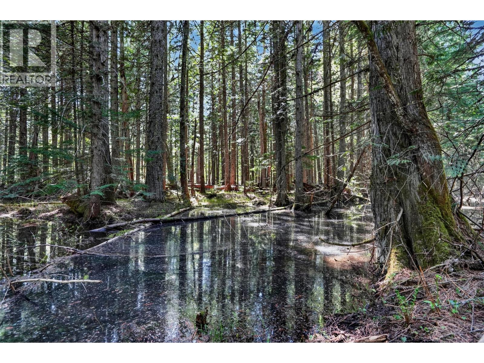 Pcl A Highway 31, Howser, British Columbia  V0G 1N0 - Photo 15 - 10387145