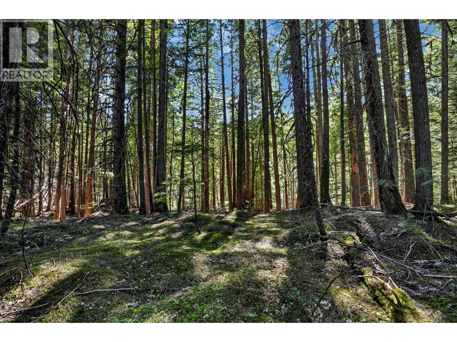 Pcl A Highway 31, Howser, British Columbia  V0G 1N0 - Photo 16 - 10387145