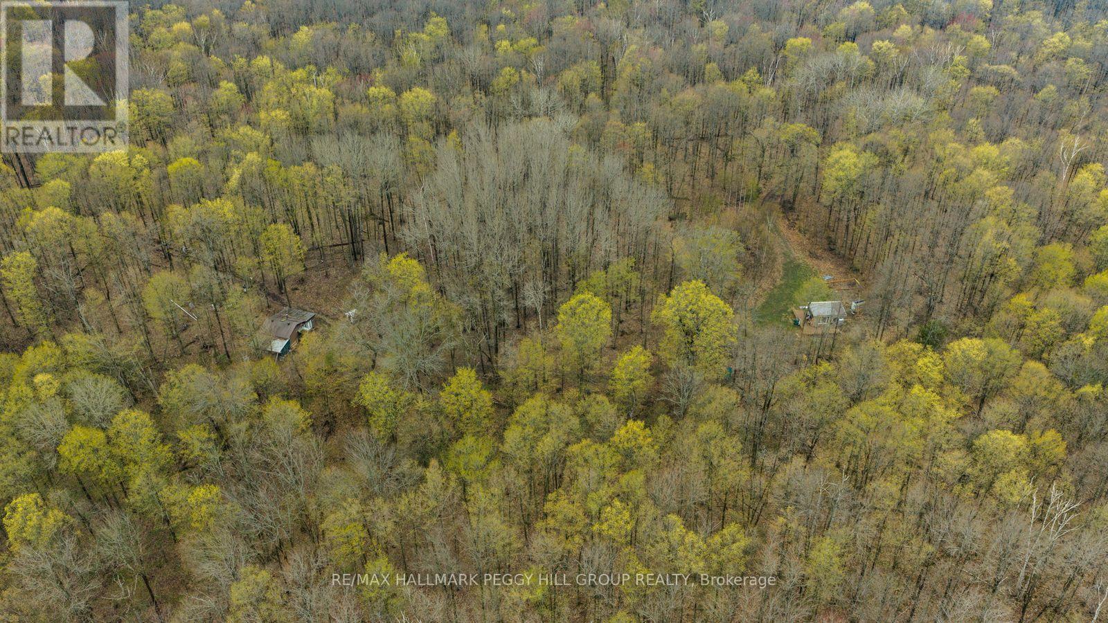 2442 Champlain Road, Tiny, Ontario  L9M 0C9 - Photo 8 - S13134558