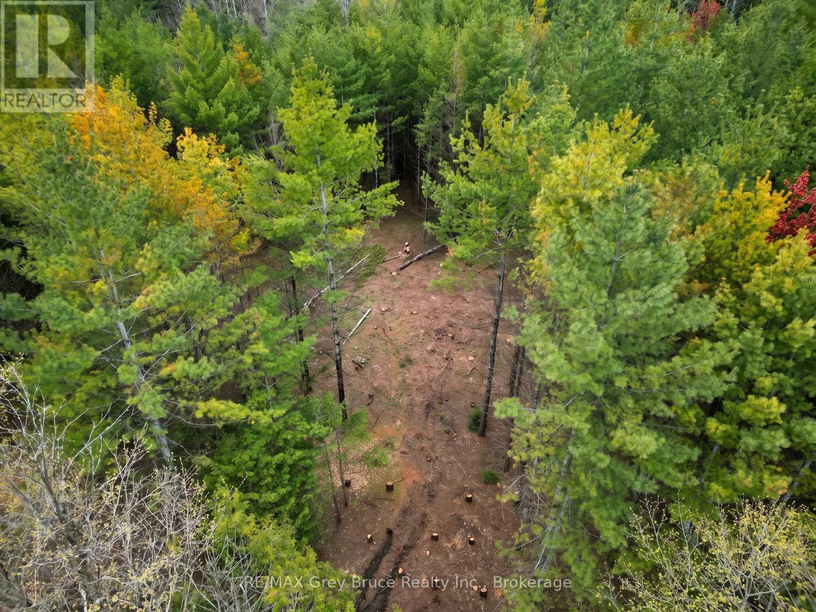 523782 Concession 12 Road, West Grey, Ontario  N0C 1H0 - Photo 10 - X13098934