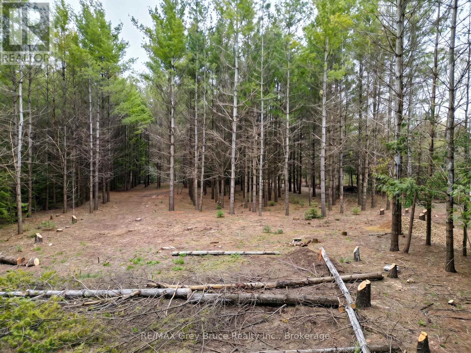 523782 Concession 12 Road, West Grey, Ontario  N0C 1H0 - Photo 14 - X13098934