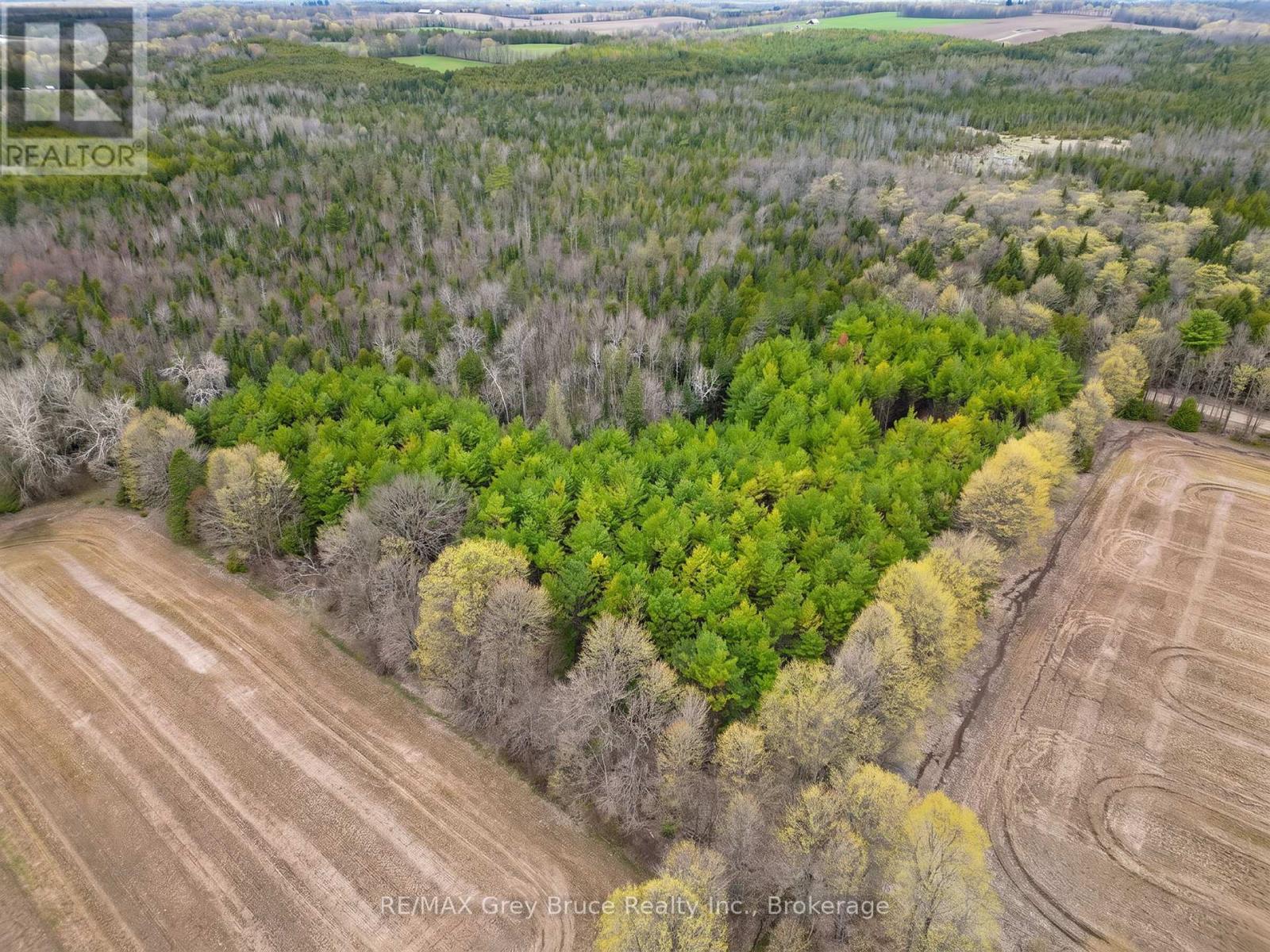 523782 Concession 12 Road, West Grey, Ontario  N0C 1H0 - Photo 15 - X13098934