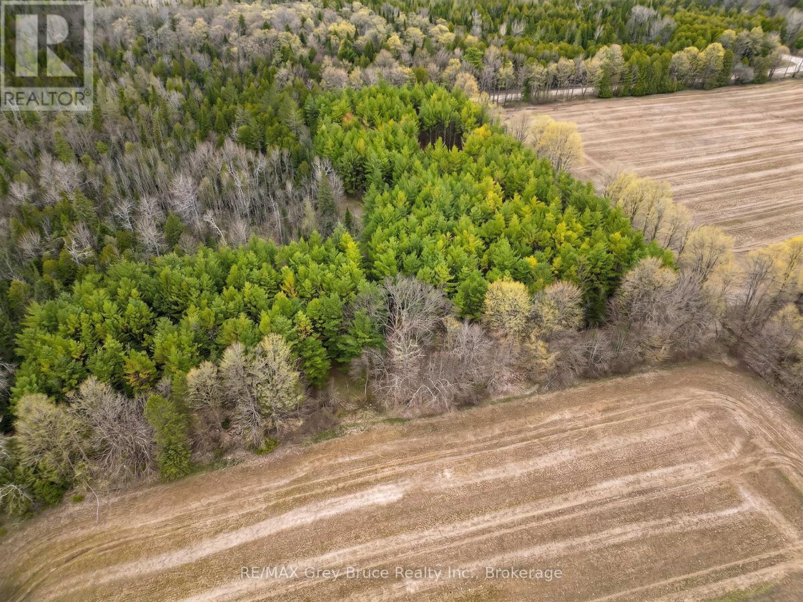 523782 Concession 12 Road, West Grey, Ontario  N0C 1H0 - Photo 6 - X13098934