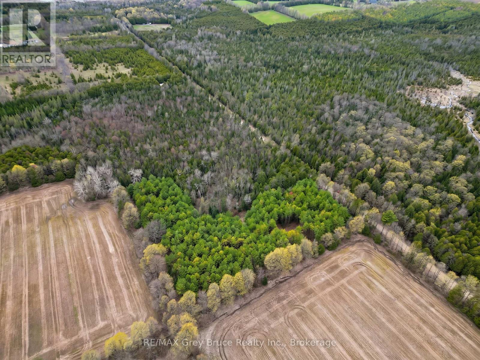 523782 Concession 12 Road, West Grey, Ontario  N0C 1H0 - Photo 7 - X13098934