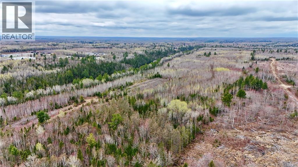 Lot 1 Route 11, Bathurst, New Brunswick  E8K 0A0 - Photo 4 - NB139580