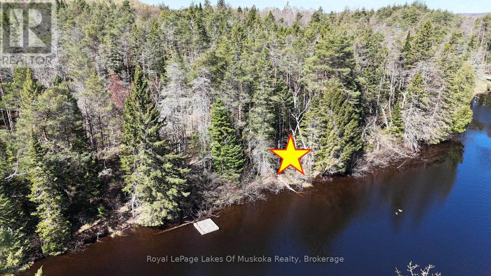 25 Rowanwood Lane, Huntsville, Ontario  P0B 1M0 - Photo 3 - X13134804