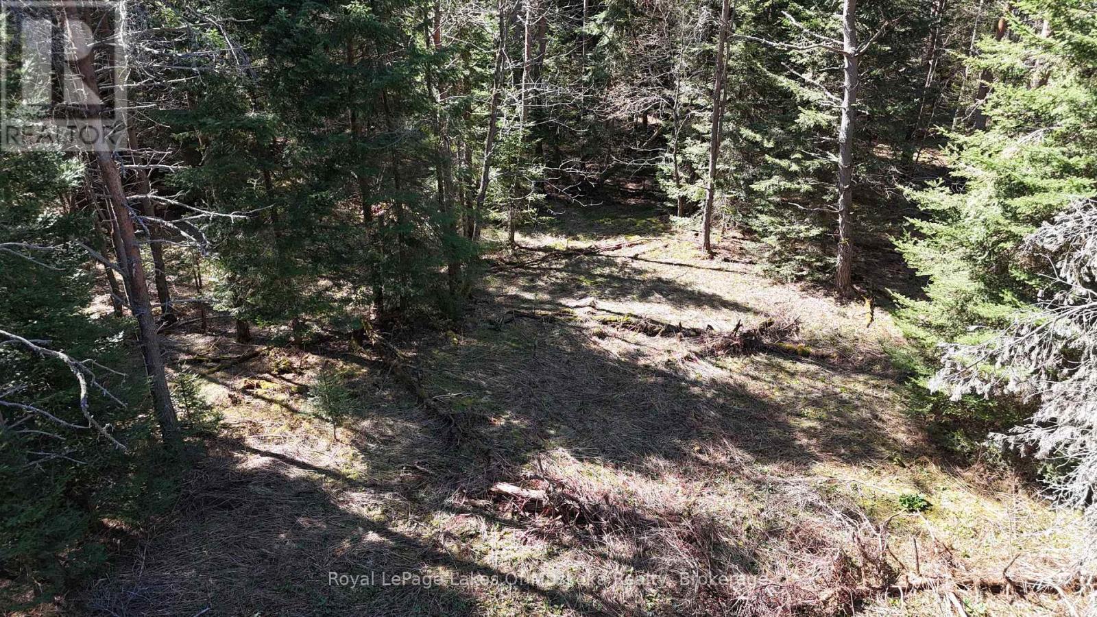 25 Rowanwood Lane, Huntsville, Ontario  P0B 1M0 - Photo 6 - X13134804