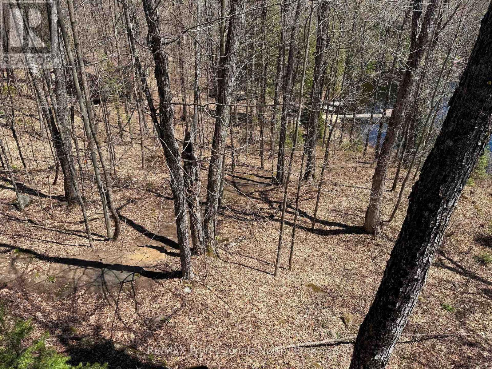 1226 Hubbard & Montgomery Lane, Highlands East, Ontario  K0M 1S0 - Photo 26 - X13134822