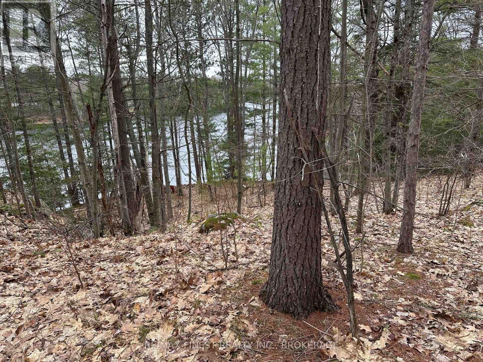 1018 St. George Lake Road, Frontenac, Ontario  K0H 2P0 - Photo 15 - X13134468