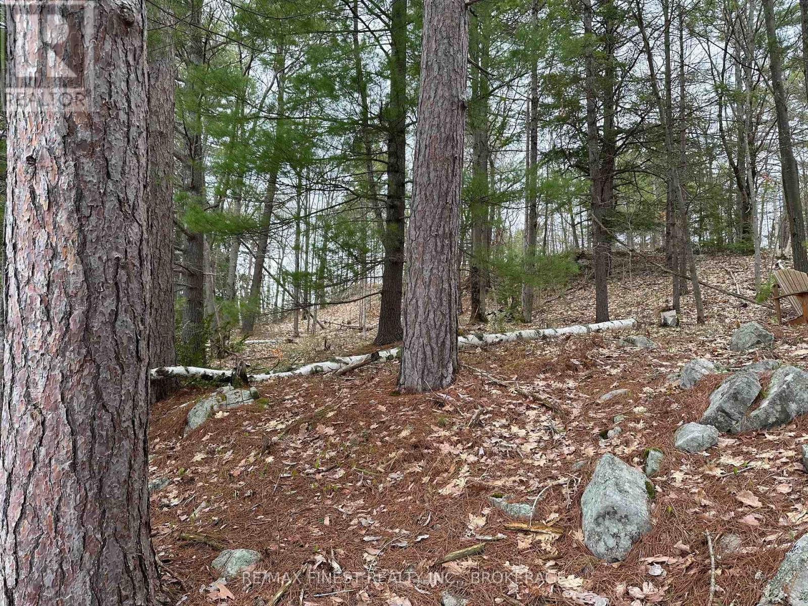 1018 St. George Lake Road, Frontenac, Ontario  K0H 2P0 - Photo 21 - X13134468