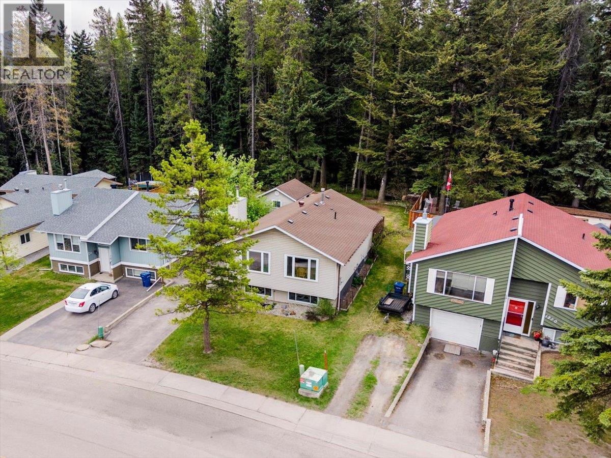 1272 Ponderosa Drive, Sparwood, British Columbia  V0B 2G2 - Photo 45 - 10387635