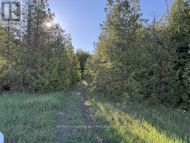 N/a Pratts Marina Road, Selwyn, Ontario  K0L 2H0 - Photo 2 - X13135072